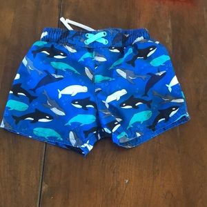 Sea animal themed toddler swim trunks.